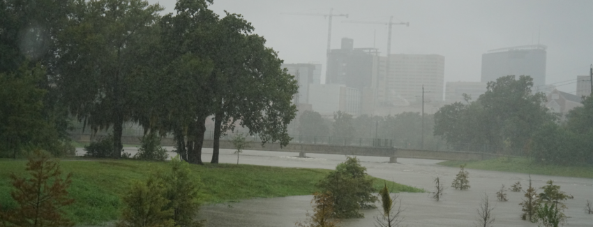 Hurricane Beryl Natural Disaster Emergency Storm Photo